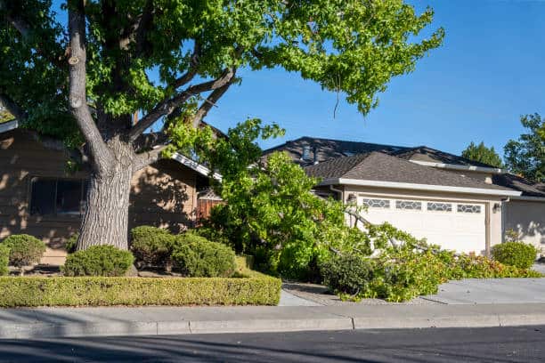 Emergency tree service Charlotte NC