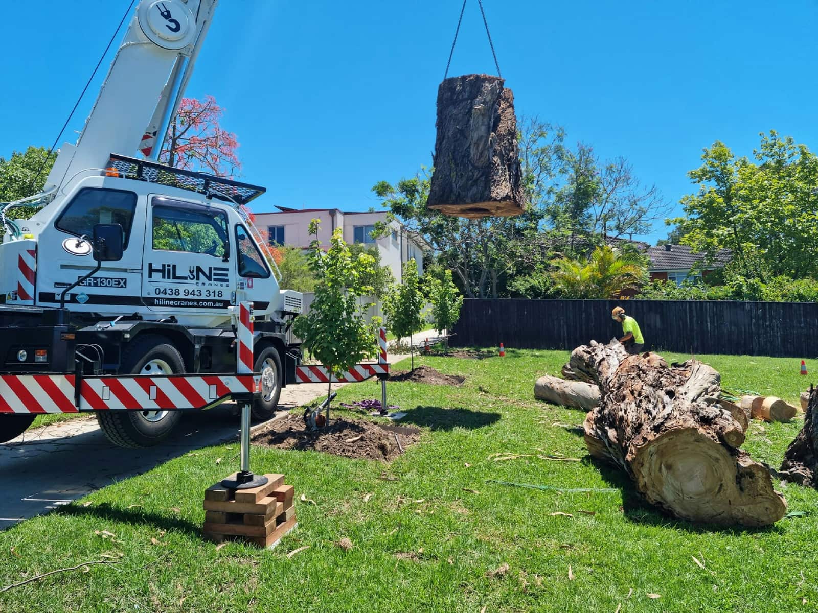 Stump grinding Charlotte NC
